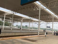 -机器人火炉披萨