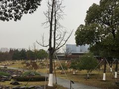 -白塘生态植物园