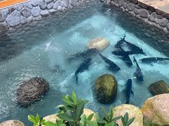 -耕渔小院·湖南鱼鲜(望城店)