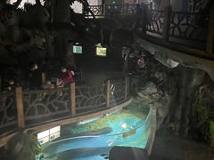 -苏州海洋馆