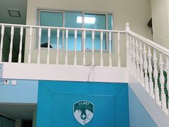 -爱贝特动物医院·猫口炎专科