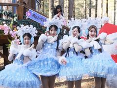 -洛阳白云山景区