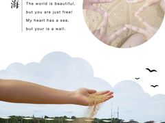 -碧海金沙