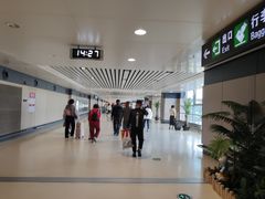 -哈尔滨太平国际机场-T2航站楼