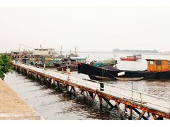 -大湾区中央湿地公园-十九涌