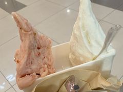 -野人先生Gelato(上海长宁龙之梦店)