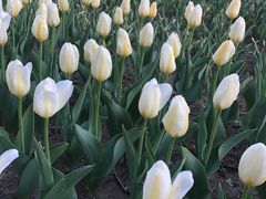 -长春公园(普阳街道)