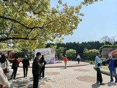 -嘉定紫藤园