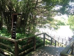 -大湾区中央湿地公园