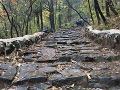 -阳台山自然风景区