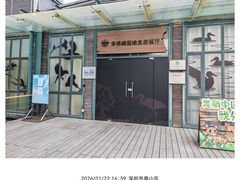 -华侨城湿地公园