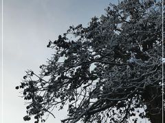 -瓦屋山景区