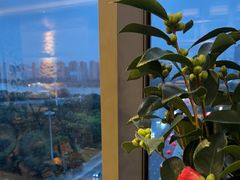 -皇朝万鑫自助餐厅