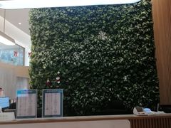 -中间带医疗(成都旗舰店)