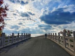 -广富林郊野公园