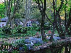 -上海共青森林公园