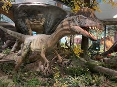 -湖南省地质博物馆