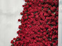 -22ºN BISTRO西餐&酒馆