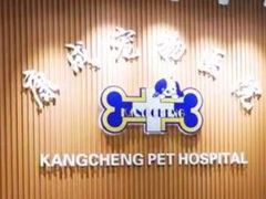 -康成宠物医院24H·CT·核磁共振