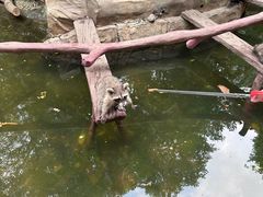 -长鹿旅游休博园