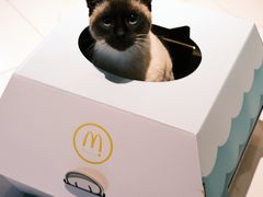 -麦当劳(磨子桥店)