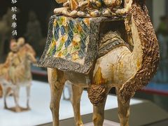 -陕西历史博物馆