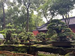 -成都武侯祠博物馆