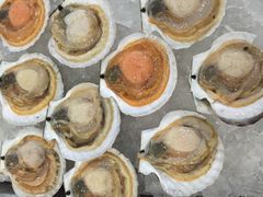 -浩运·海鲜青岛菜·海胆水饺(石老人店)