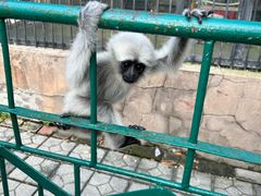 -保定市动物园