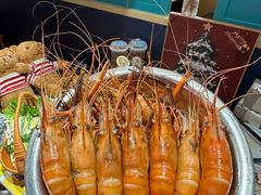 -濠七糟粕醋·椰子鸡火锅(上海首店)