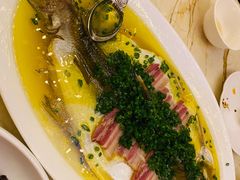 咸肉蒸白水鱼-玫瑰厅上海菜(兴国路店)