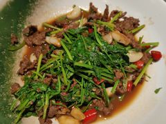 香菜炒牛肉-老馆子·建德菜·山肴鱼鲜(海威新界店)