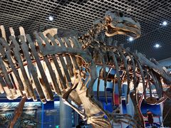 -国家自然博物馆