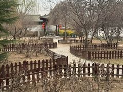 -河间府署