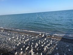 -青海湖国家重点风景名胜区