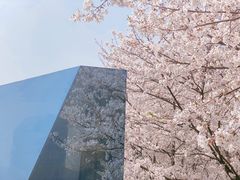-龙美术馆(西岸馆)