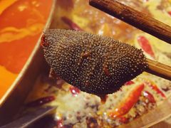 -小龙坎火锅(总店)