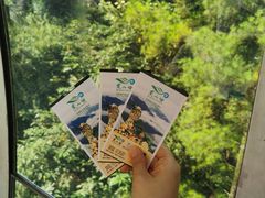 -梦幻奥陶纪景区