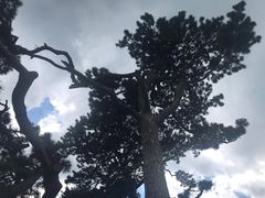 -妙峰山风景名胜区