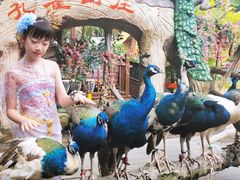 -西双版纳原始森林公园