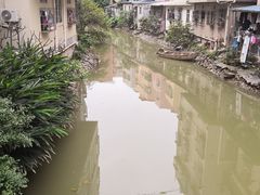 -小洲村