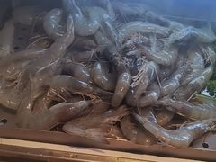 -喜井无限自助烤肉公司(石厦店)