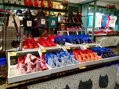 -猫咪博物馆(顶澳仔猫街店)