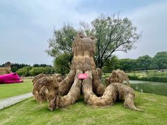 -东方绿舟景区