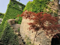 -得丘礼享谷·玉兰苑