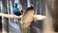 -酷嗒动物文化乐园(cutezoo西溪乐天城店)