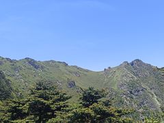 -牛背梁国家森林公园