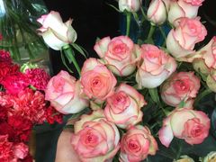 -妃比花艺(光启城时尚购物中心店)