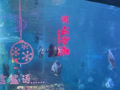 -烟台海昌鲸鲨海洋公园