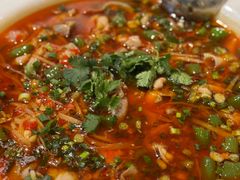 -院8里·小聚园老川菜(九眼桥店)